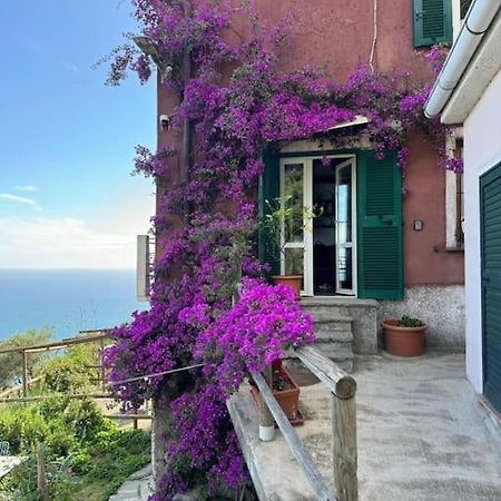 Amazing Flat At The Heart Of 5 Terre National Park Apartman Vernazza Kültér fotó