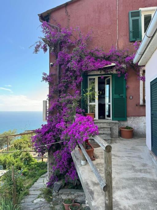 Amazing Flat At The Heart Of 5 Terre National Park Apartman Vernazza Kültér fotó